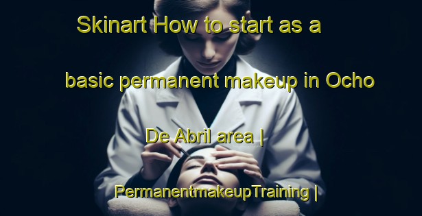 Skinart How to start as a basic permanent makeup in Ocho De Abril area | PermanentmakeupTraining | PermanentmakeupClasses | SkinartTraining-Mexico